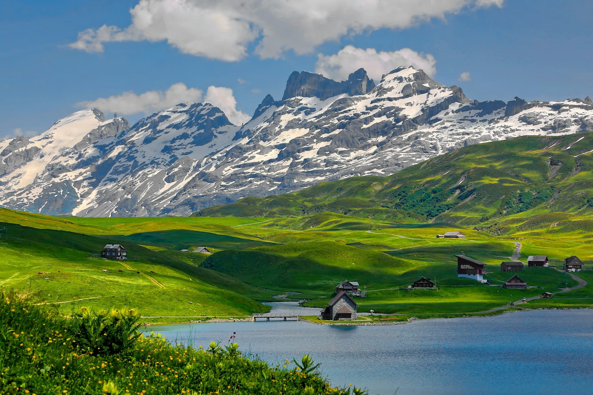 The Grand Swiss Odyssey