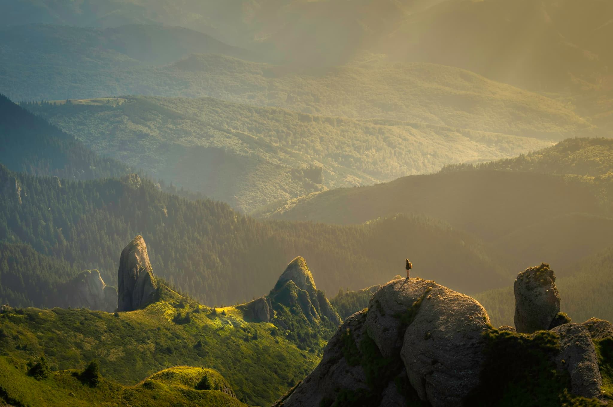 A river valley winding between forested alpine slopes in soft morning light
